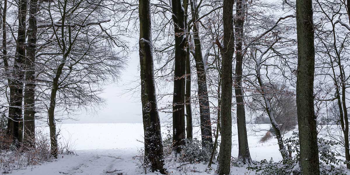 Winter · © Romano Amend 2017 Winter · © Romano Amend 2017